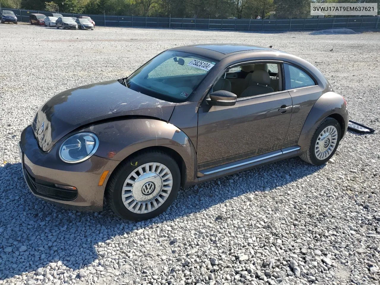 2014 Volkswagen Beetle VIN: 3VWJ17AT9EM637621 Lot: 75826104