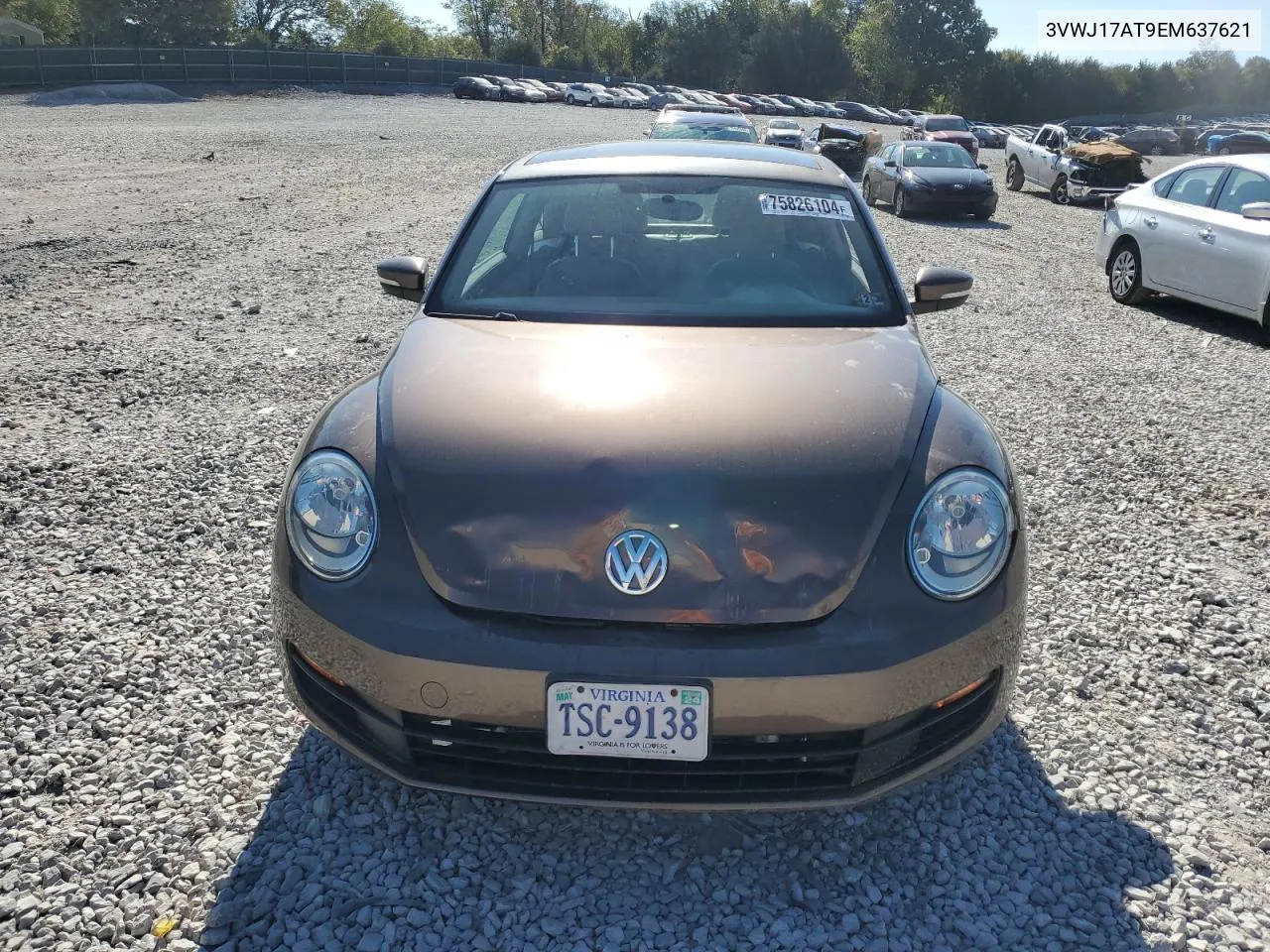 2014 Volkswagen Beetle VIN: 3VWJ17AT9EM637621 Lot: 75826104