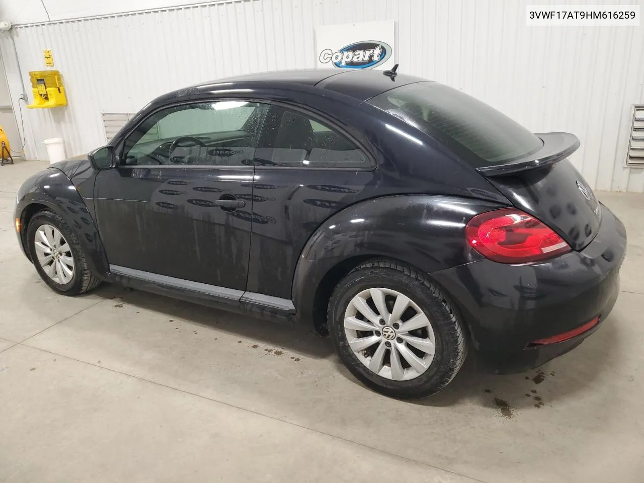 2017 Volkswagen Beetle 1.8T VIN: 3VWF17AT9HM616259 Lot: 79226734