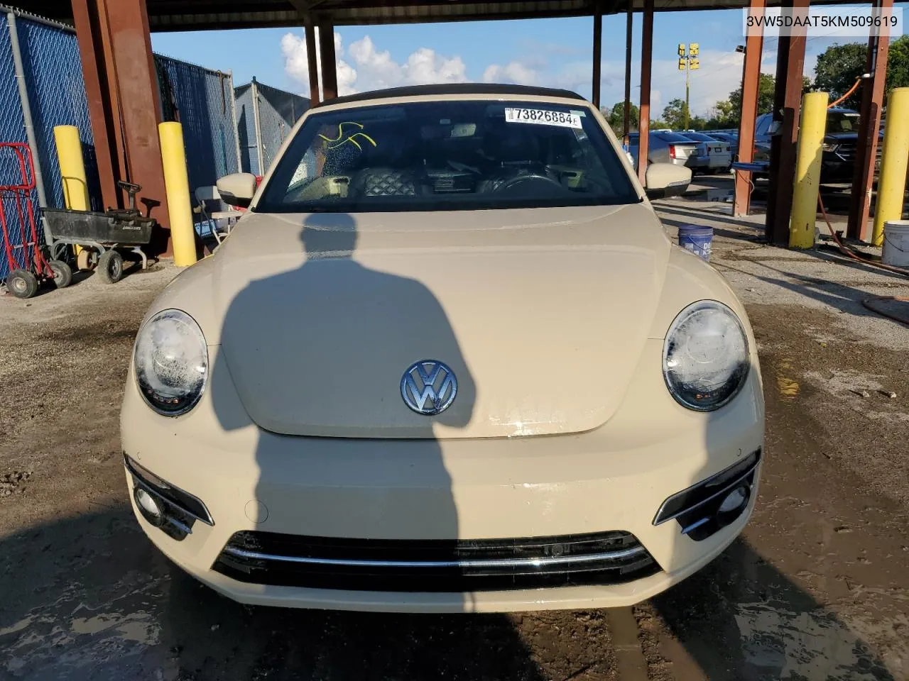 2019 Volkswagen Beetle S VIN: 3VW5DAAT5KM509619 Lot: 73826884