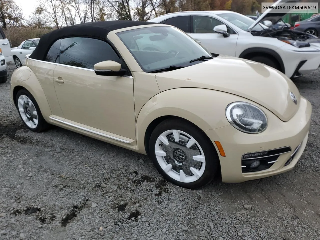 2019 Volkswagen Beetle S VIN: 3VW5DAAT5KM509619 Lot: 78623224