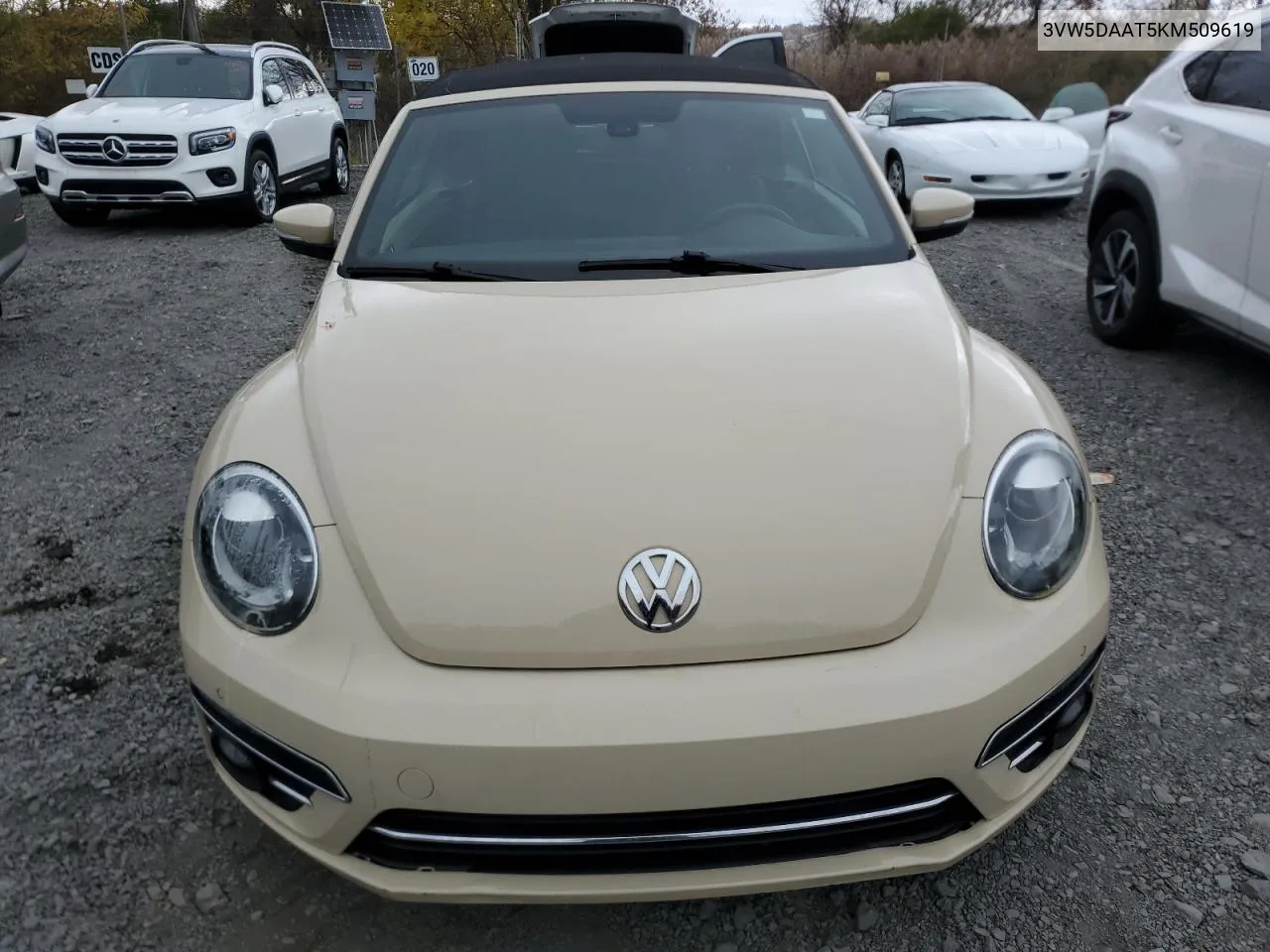 2019 Volkswagen Beetle S VIN: 3VW5DAAT5KM509619 Lot: 78623224