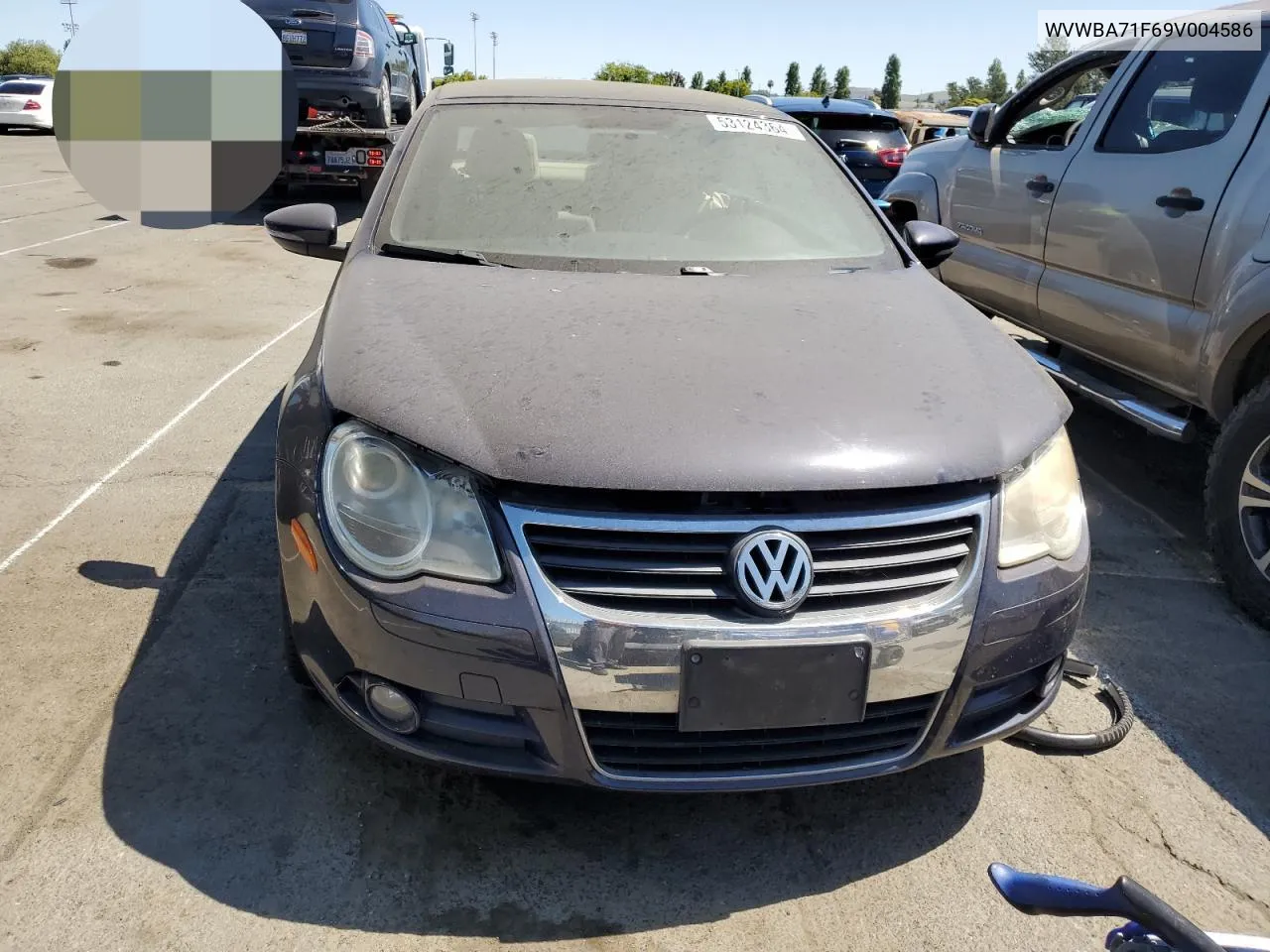 2009 Volkswagen Eos Turbo VIN: WVWBA71F69V004586 Lot: 53124364