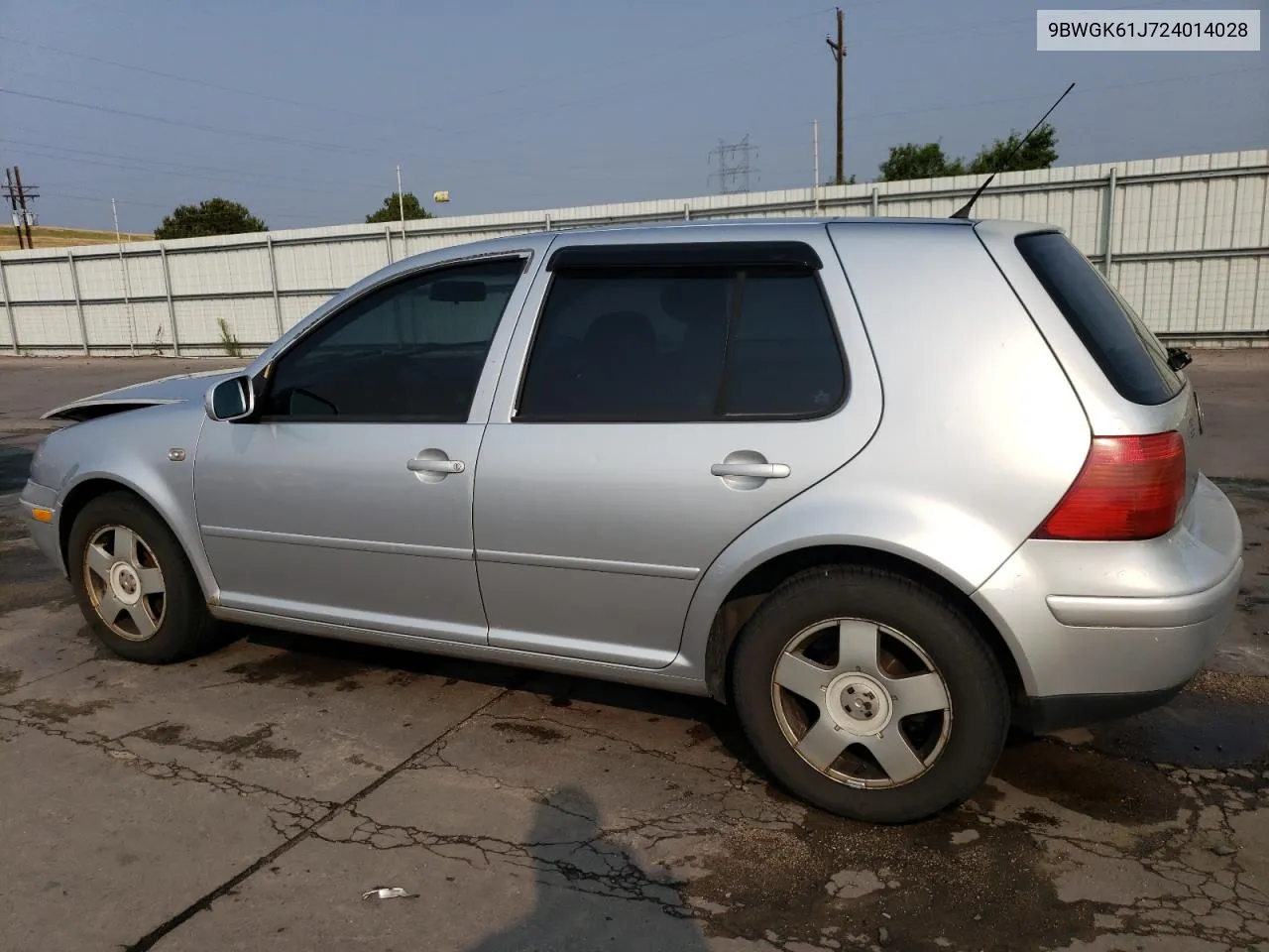 2002 Volkswagen Golf Gls VIN: 9BWGK61J724014028 Lot: 64166534