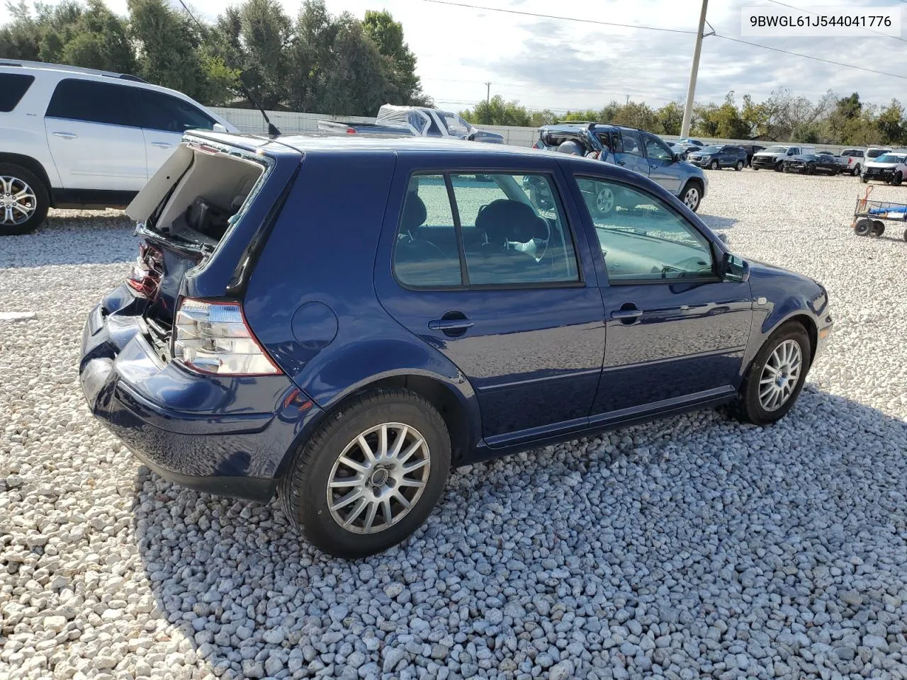 2004 Volkswagen Golf Gls VIN: 9BWGL61J544041776 Lot: 78159484