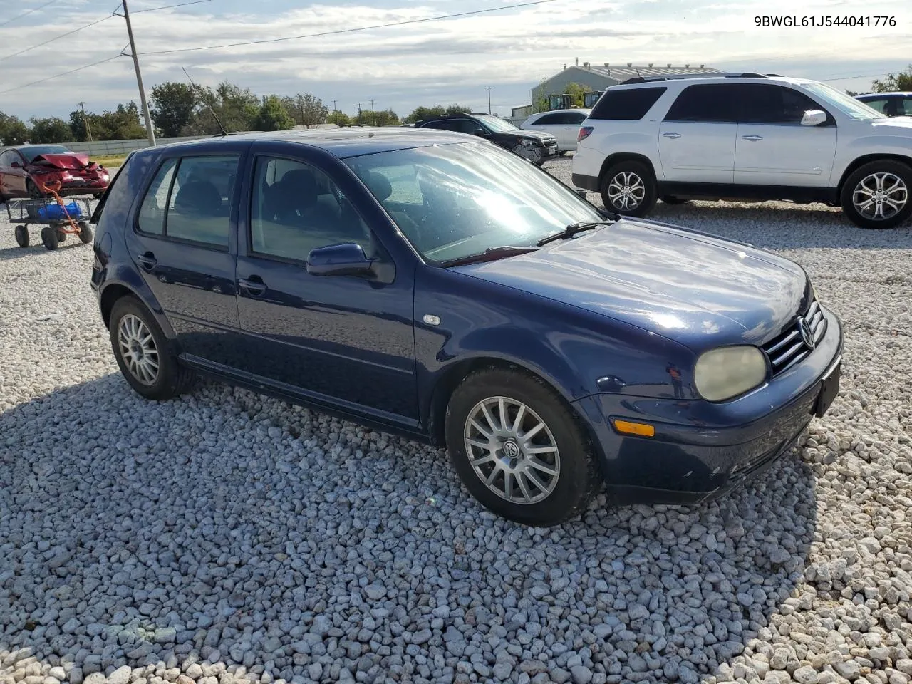 2004 Volkswagen Golf Gls VIN: 9BWGL61J544041776 Lot: 78159484