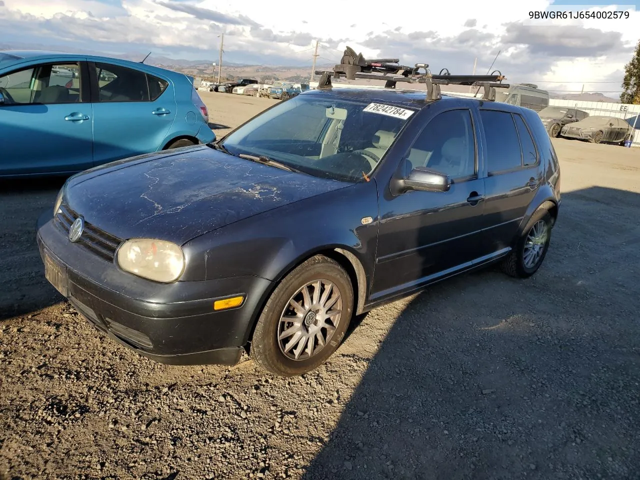 2005 Volkswagen Golf Gls Tdi VIN: 9BWGR61J654002579 Lot: 78242784