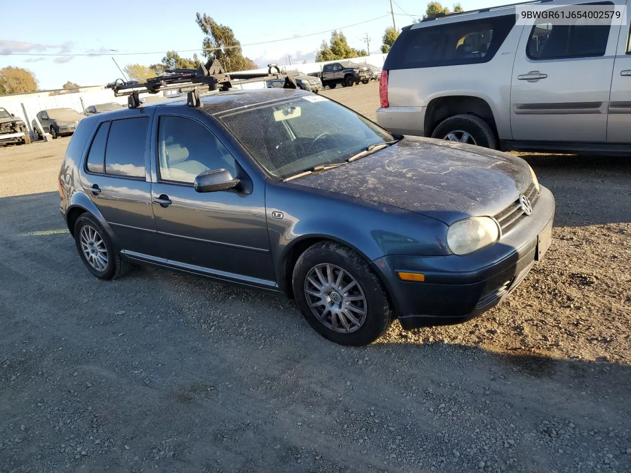 2005 Volkswagen Golf Gls Tdi VIN: 9BWGR61J654002579 Lot: 78242784