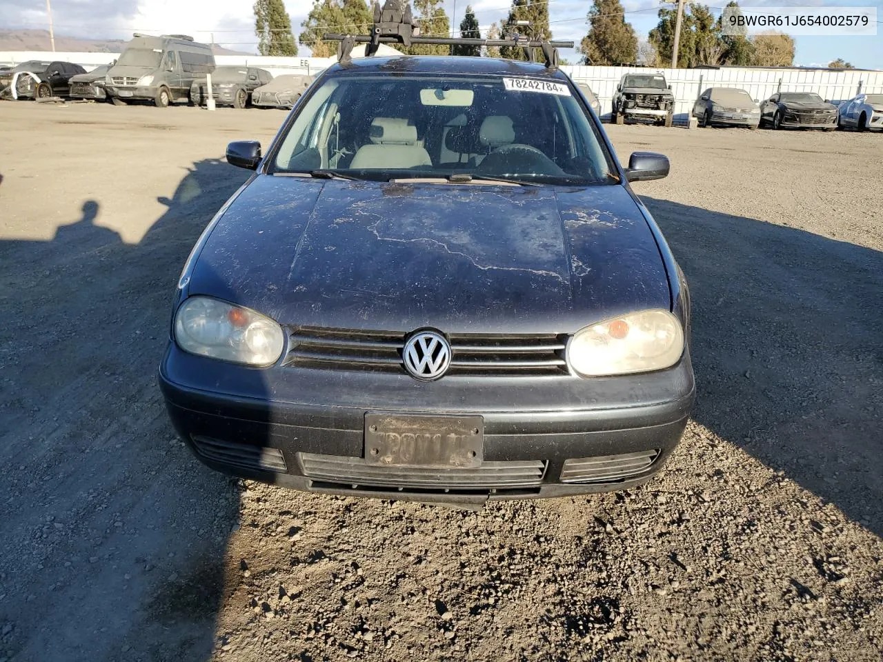 2005 Volkswagen Golf Gls Tdi VIN: 9BWGR61J654002579 Lot: 78242784