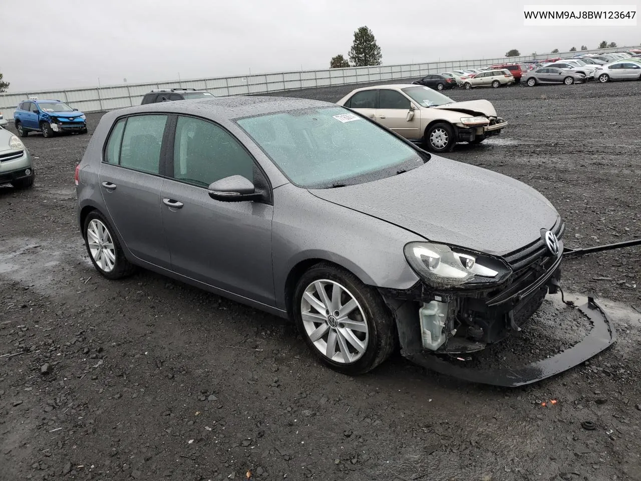 2011 Volkswagen Golf VIN: WVWNM9AJ8BW123647 Lot: 77163674