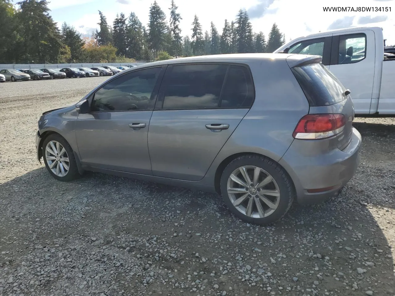 2013 Volkswagen Golf VIN: WVWDM7AJ8DW134151 Lot: 76740884