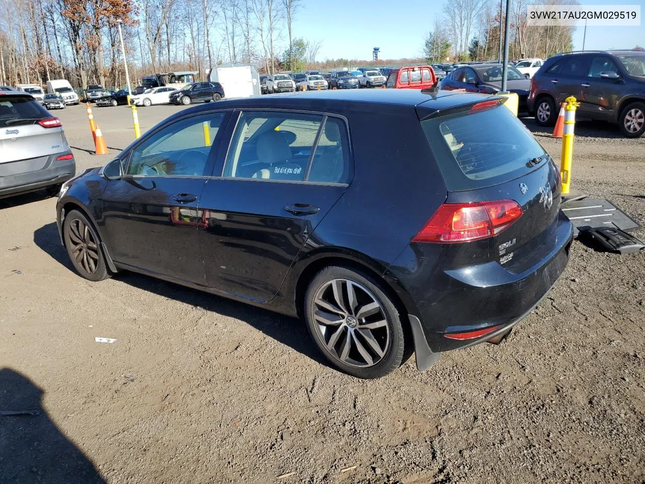 2016 Volkswagen Golf S/Se VIN: 3VW217AU2GM029519 Lot: 80852644