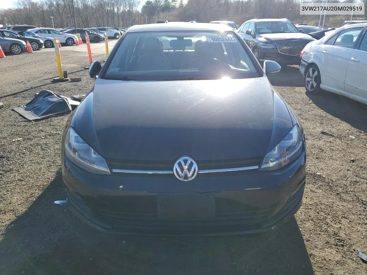 2016 Volkswagen Golf S/Se VIN: 3VW217AU2GM029519 Lot: 80852644