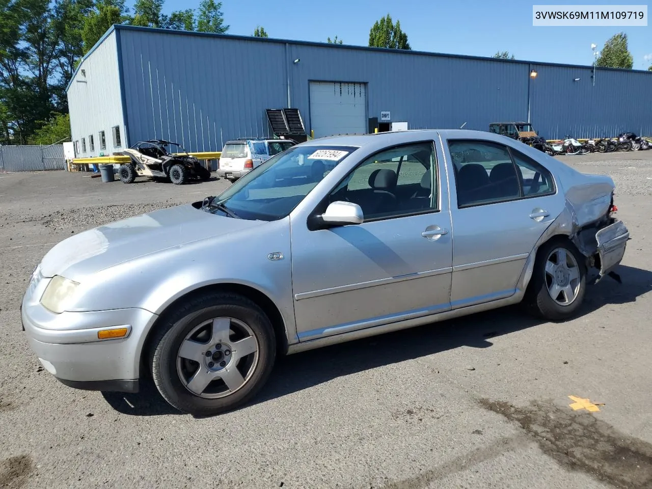 2001 Volkswagen Jetta Gls VIN: 3VWSK69M11M109719 Lot: 60261994