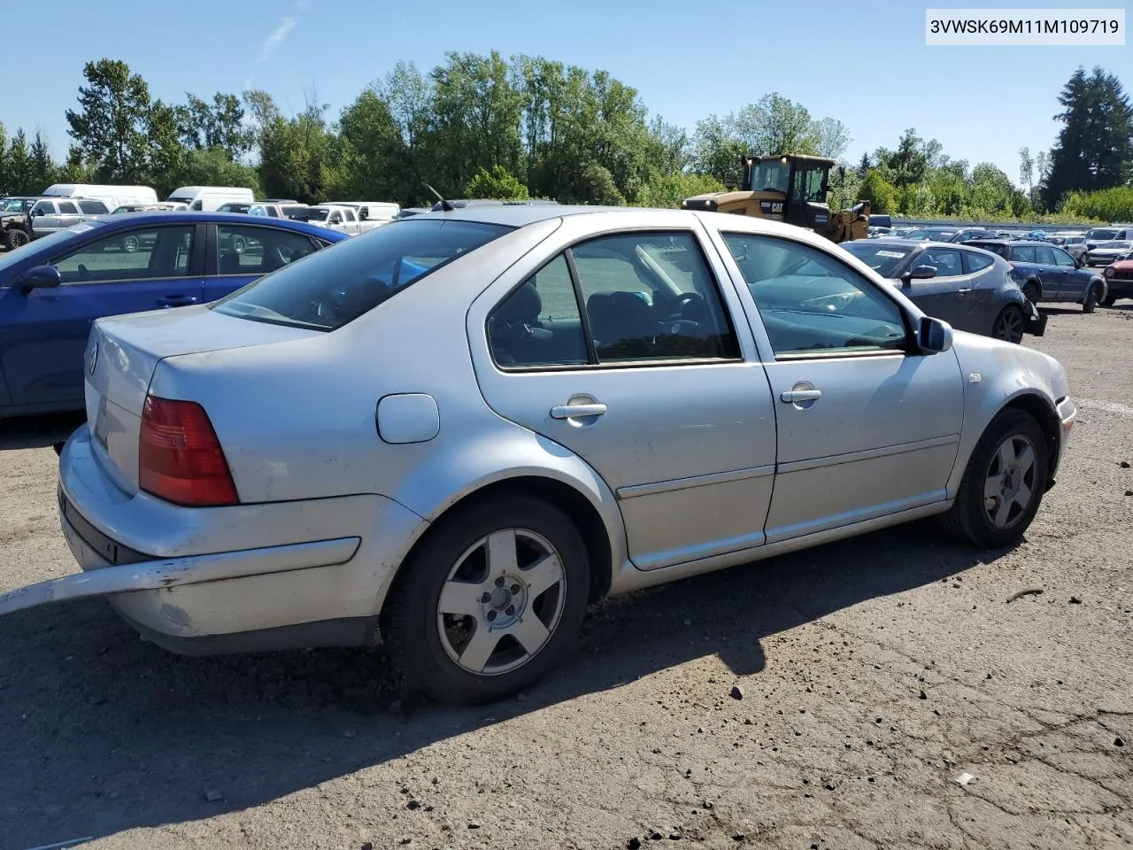 2001 Volkswagen Jetta Gls VIN: 3VWSK69M11M109719 Lot: 60261994