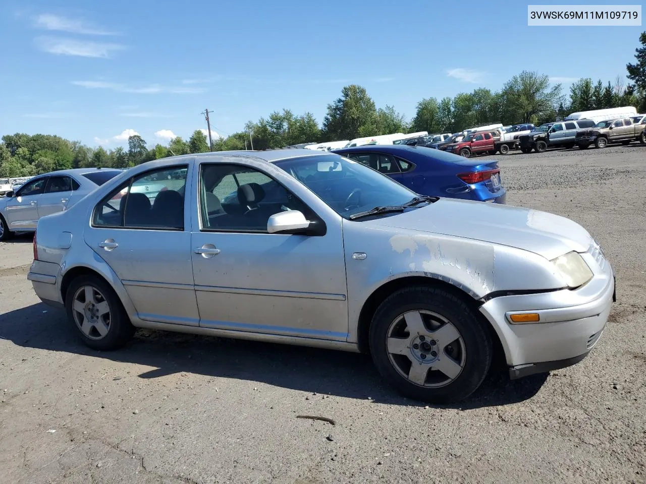 2001 Volkswagen Jetta Gls VIN: 3VWSK69M11M109719 Lot: 60261994