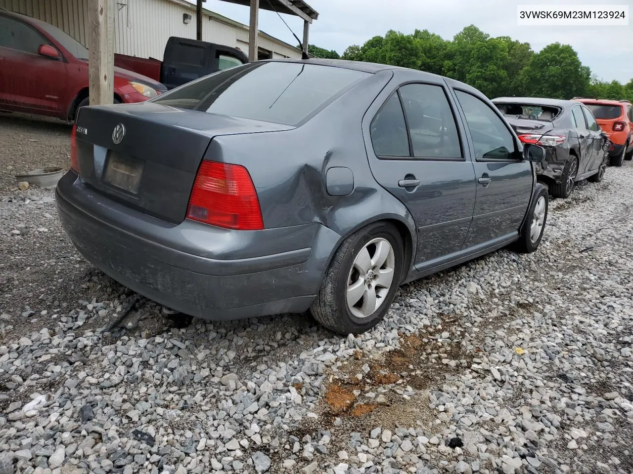 2003 Volkswagen Jetta Gls VIN: 3VWSK69M23M123924 Lot: 53473884