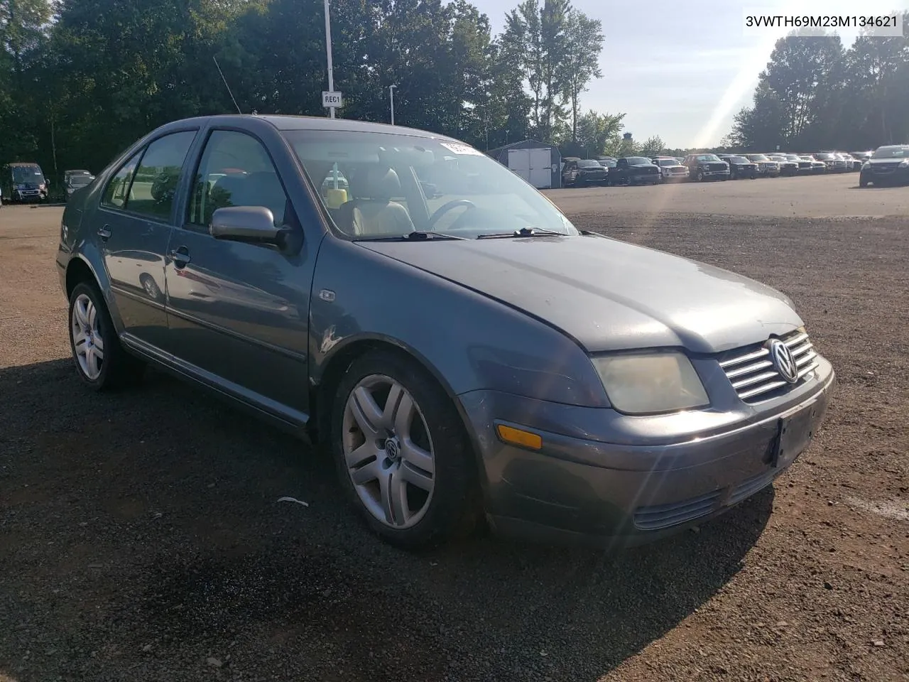 2003 Volkswagen Jetta Glx VIN: 3VWTH69M23M134621 Lot: 69747374