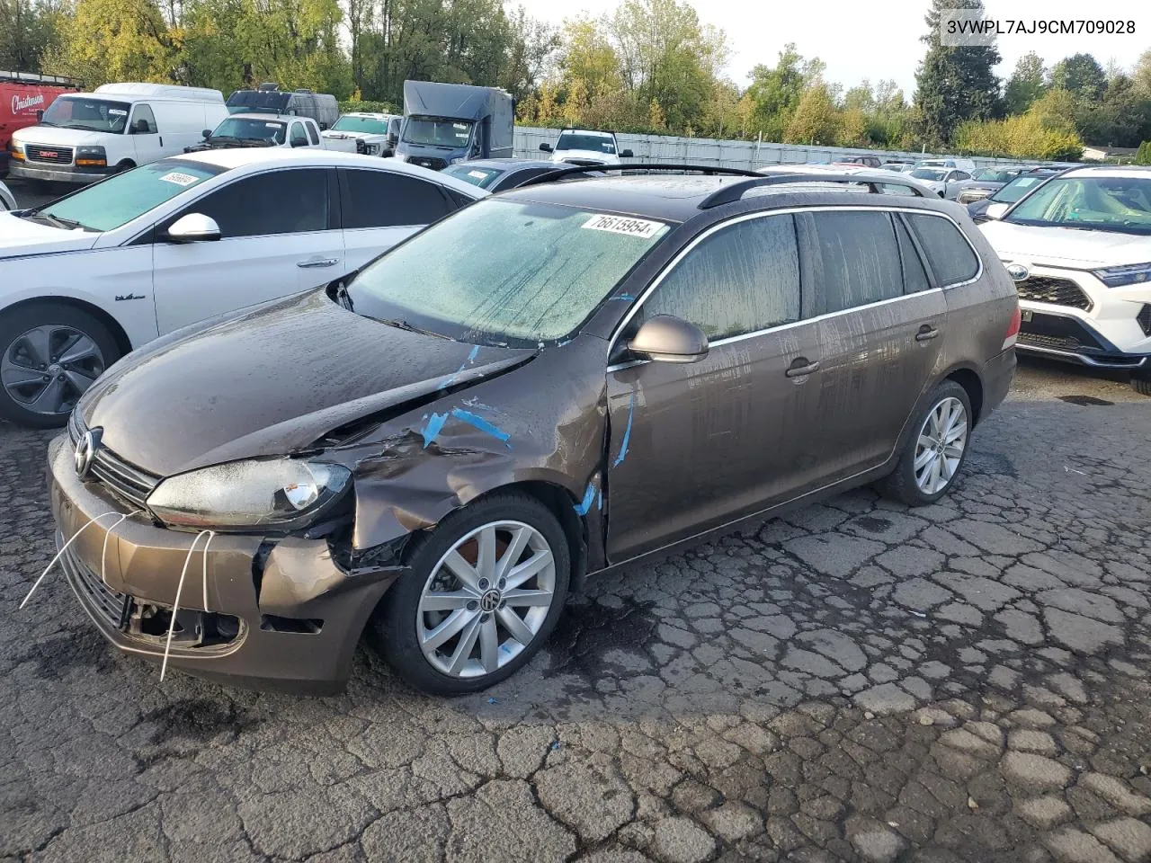 2012 Volkswagen Jetta Tdi VIN: 3VWPL7AJ9CM709028 Lot: 76615954