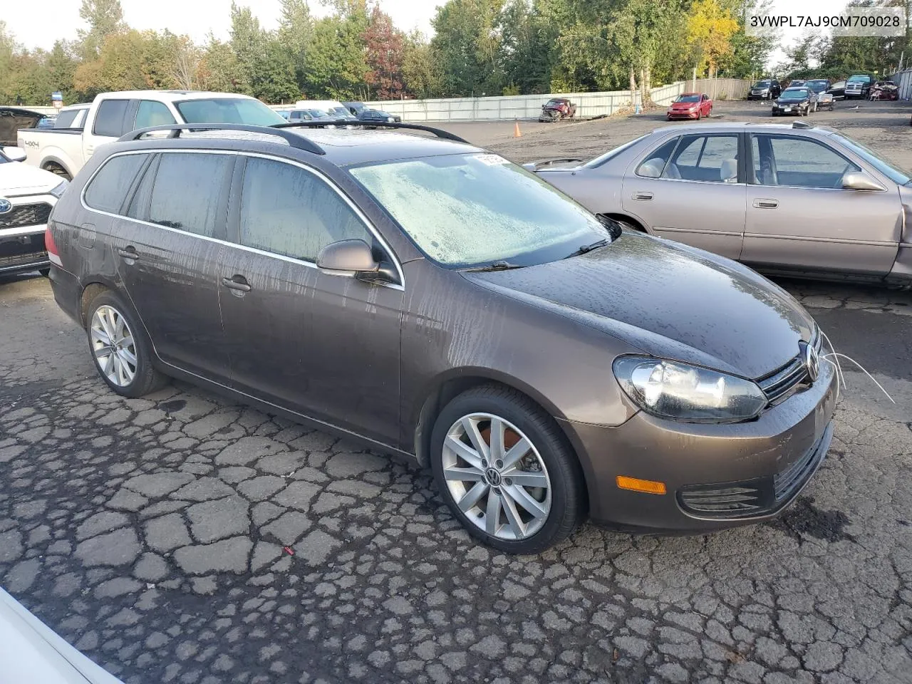 2012 Volkswagen Jetta Tdi VIN: 3VWPL7AJ9CM709028 Lot: 76615954