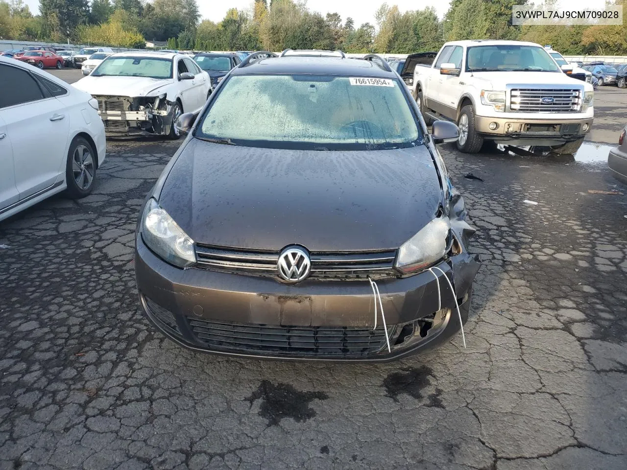 2012 Volkswagen Jetta Tdi VIN: 3VWPL7AJ9CM709028 Lot: 76615954