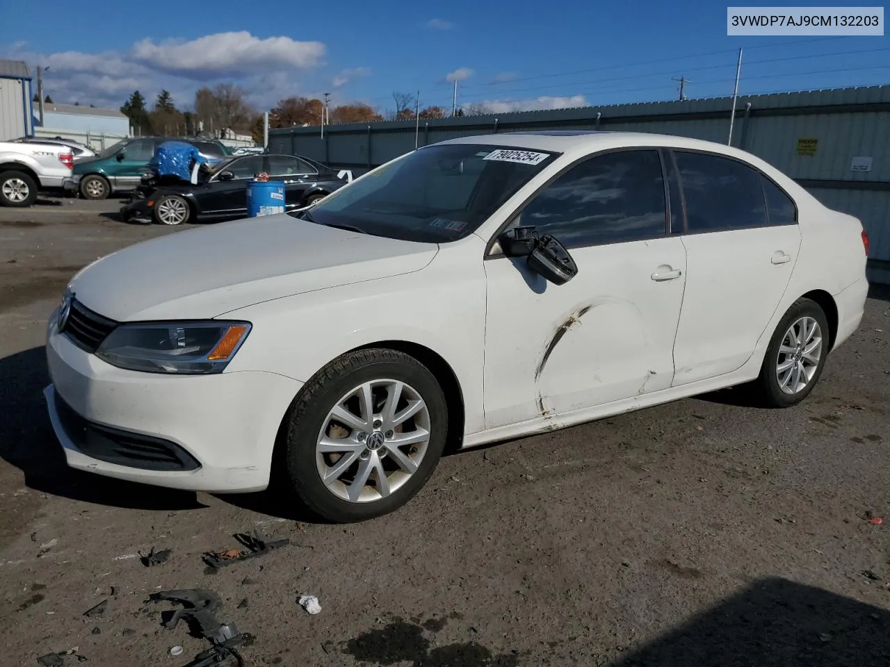 2012 Volkswagen Jetta Se VIN: 3VWDP7AJ9CM132203 Lot: 79025254