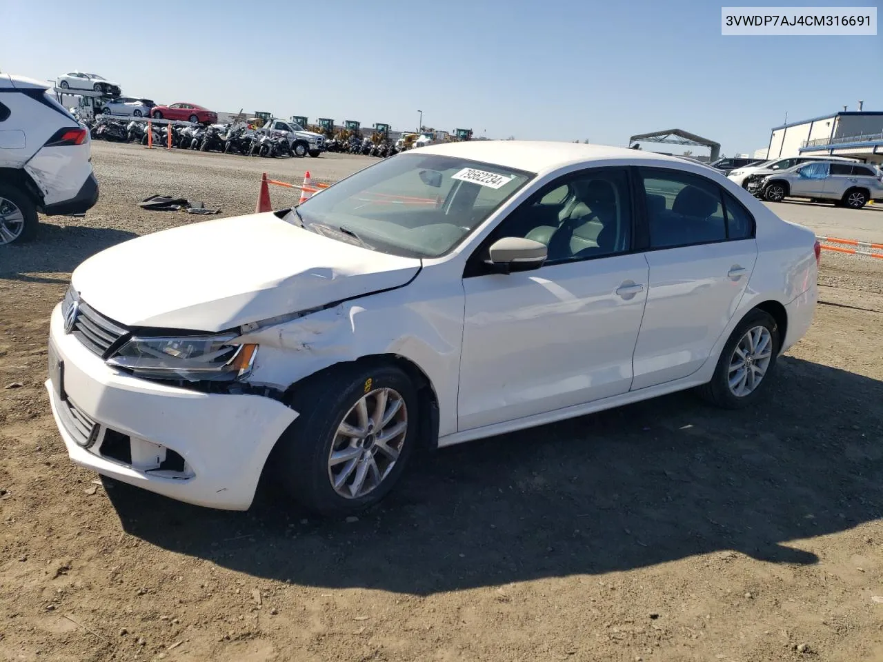 2012 Volkswagen Jetta Se VIN: 3VWDP7AJ4CM316691 Lot: 79562234