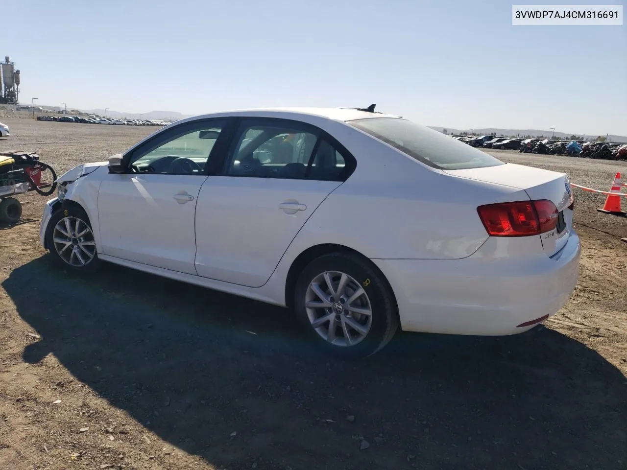 2012 Volkswagen Jetta Se VIN: 3VWDP7AJ4CM316691 Lot: 79562234