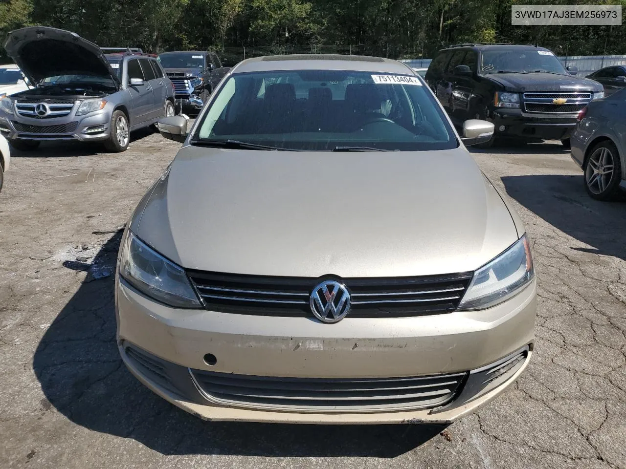 2014 Volkswagen Jetta Se VIN: 3VWD17AJ3EM256973 Lot: 75113404