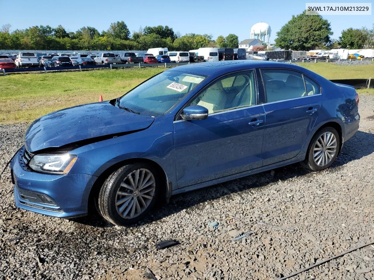 2016 Volkswagen Jetta Sel VIN: 3VWL17AJ1GM213229 Lot: 69324394