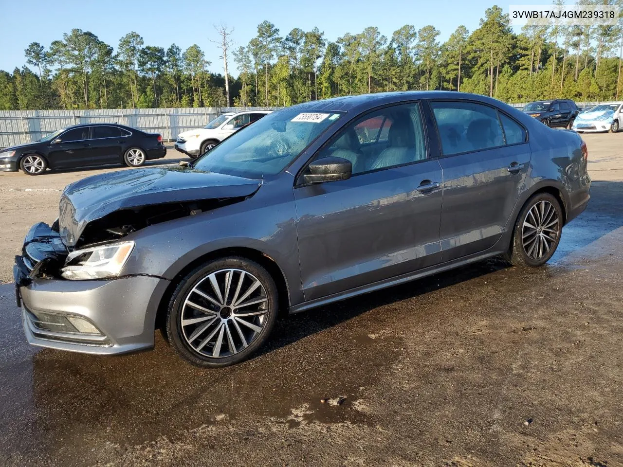 2016 Volkswagen Jetta Sport VIN: 3VWB17AJ4GM239318 Lot: 73530764