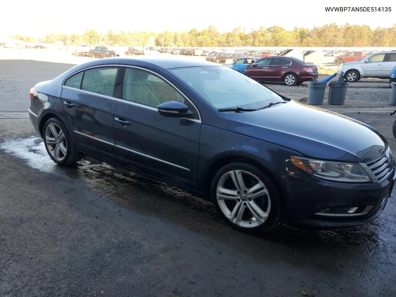 2013 Volkswagen Cc Sport VIN: WVWBP7AN5DE514135 Lot: 74179924