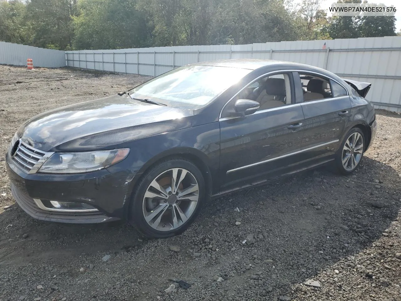 2013 Volkswagen Cc Sport VIN: WVWBP7AN4DE521576 Lot: 74278024