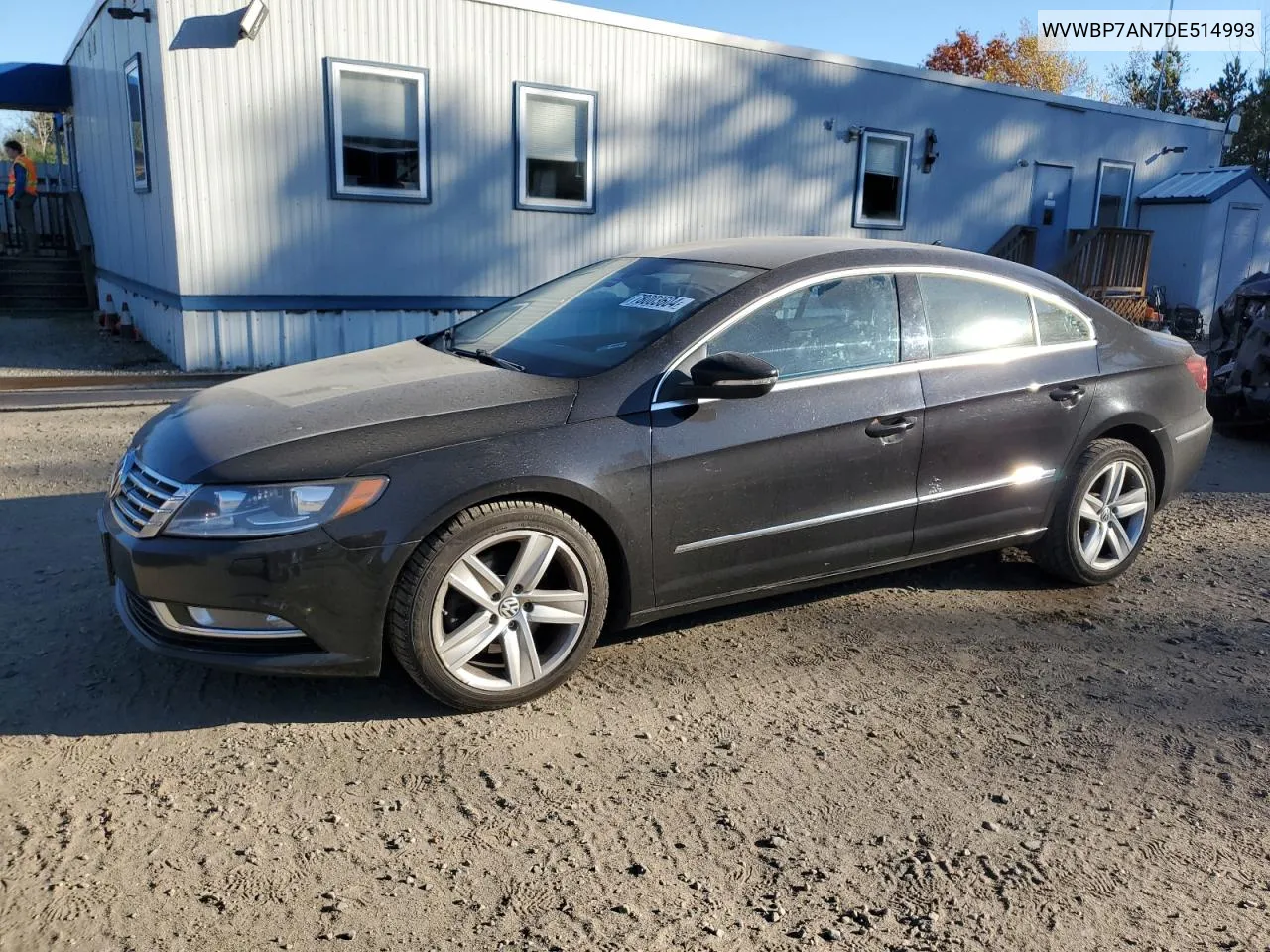 2013 Volkswagen Cc Sport VIN: WVWBP7AN7DE514993 Lot: 78003604