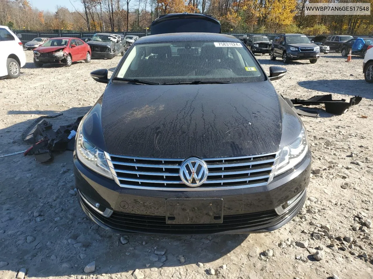 2016 Volkswagen Cc Base VIN: WVWBP7AN6GE517548 Lot: 75831024