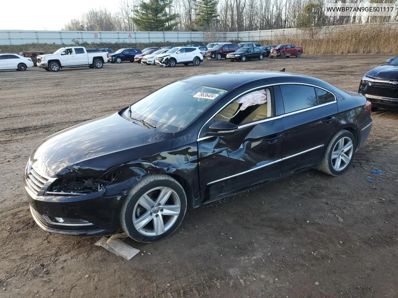 2016 Volkswagen Cc Base VIN: WVWBP7AN9GE501117 Lot: 79636404