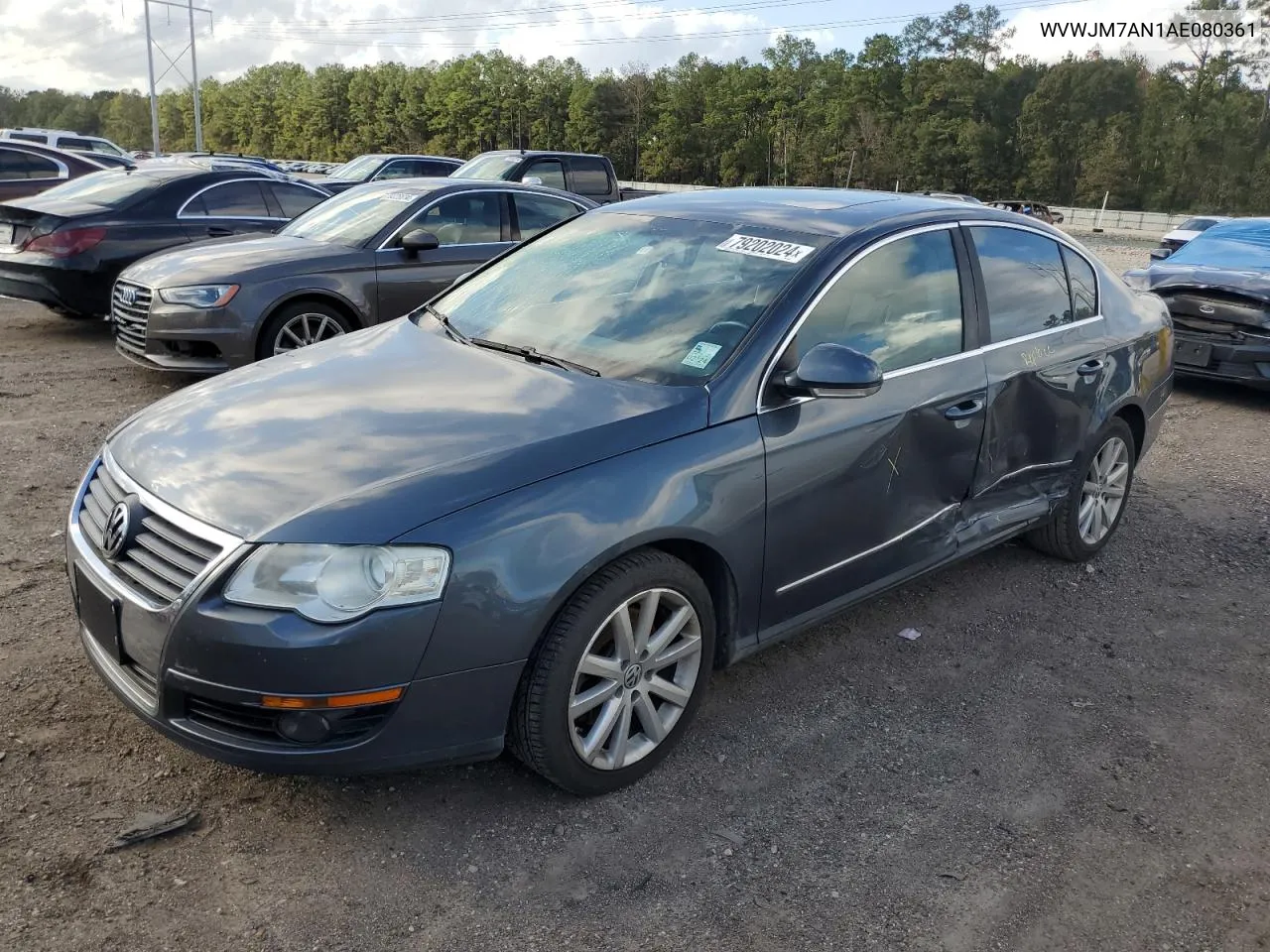 2010 Volkswagen Passat Komfort VIN: WVWJM7AN1AE080361 Lot: 79202024