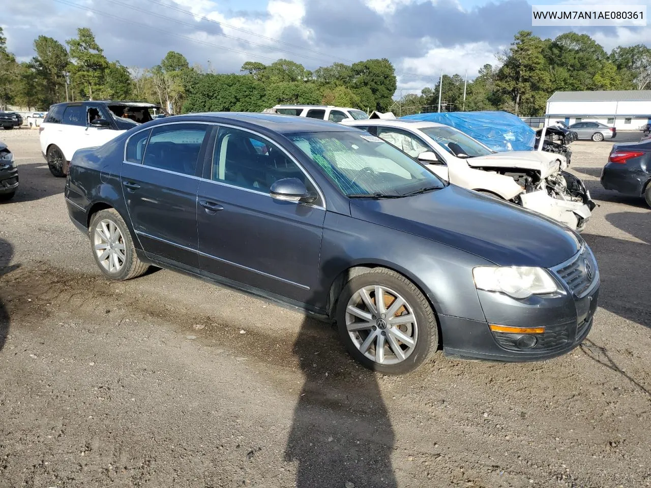 2010 Volkswagen Passat Komfort VIN: WVWJM7AN1AE080361 Lot: 79202024