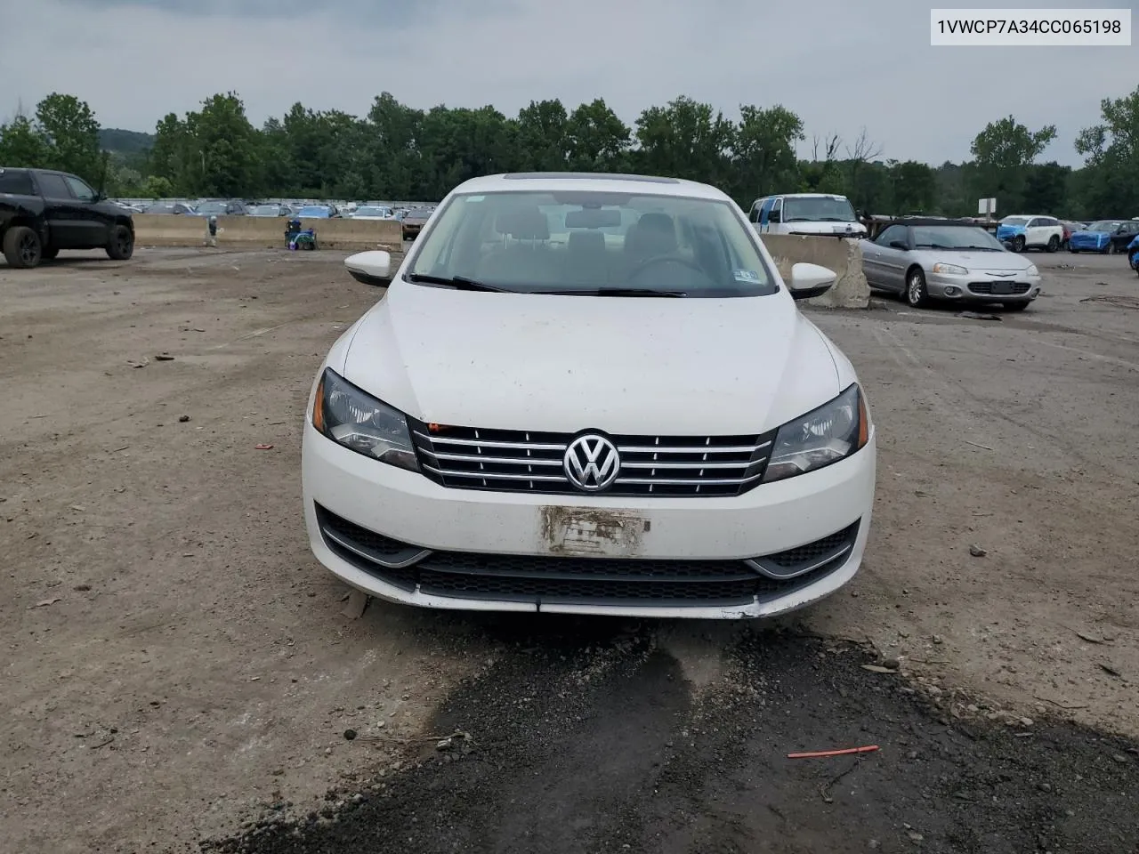 2012 Volkswagen Passat Sel VIN: 1VWCP7A34CC065198 Lot: 63795764