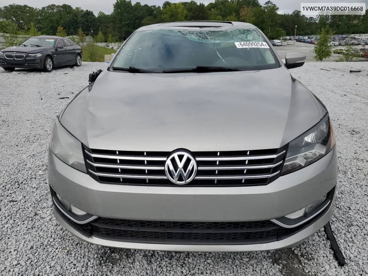 1VWCM7A39DC016668 2013 Volkswagen Passat Sel