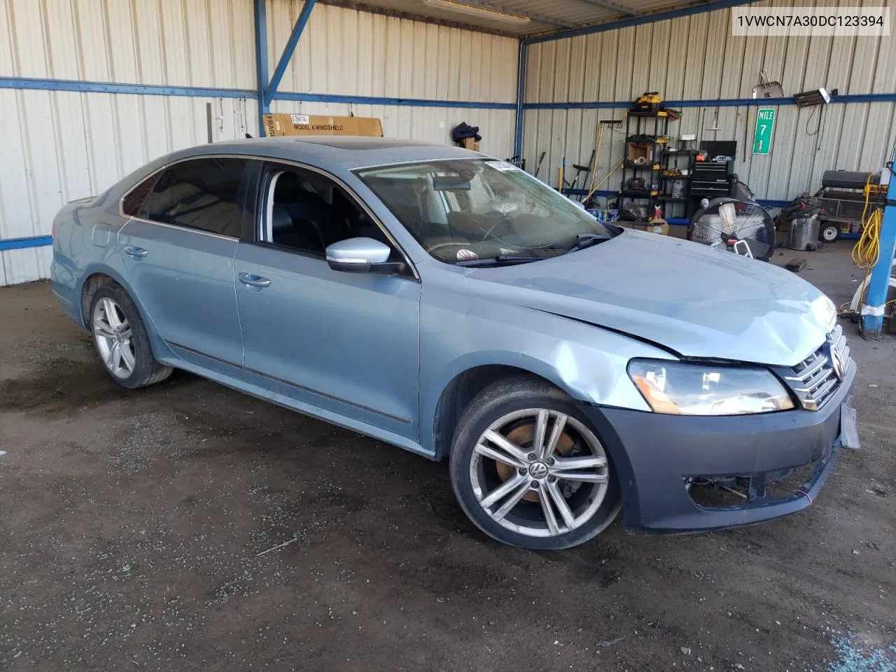 2013 Volkswagen Passat Sel VIN: 1VWCN7A30DC123394 Lot: 73783364