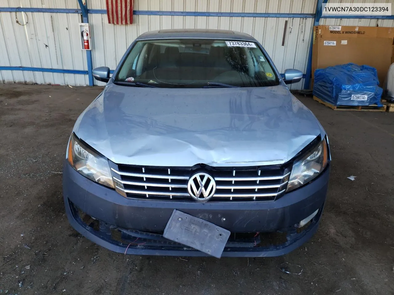 2013 Volkswagen Passat Sel VIN: 1VWCN7A30DC123394 Lot: 73783364