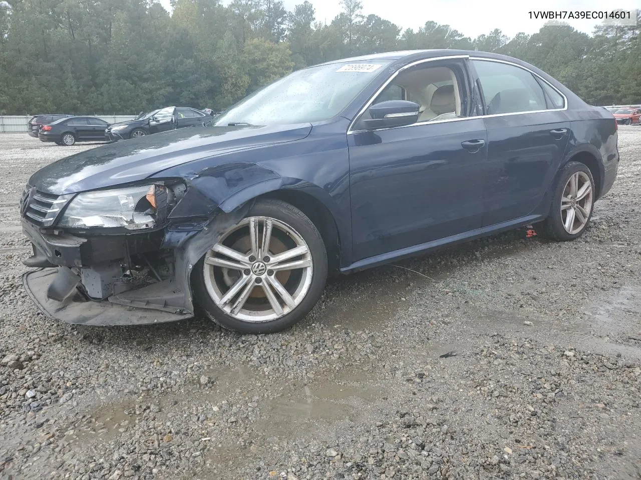 1VWBH7A39EC014601 2014 Volkswagen Passat Se