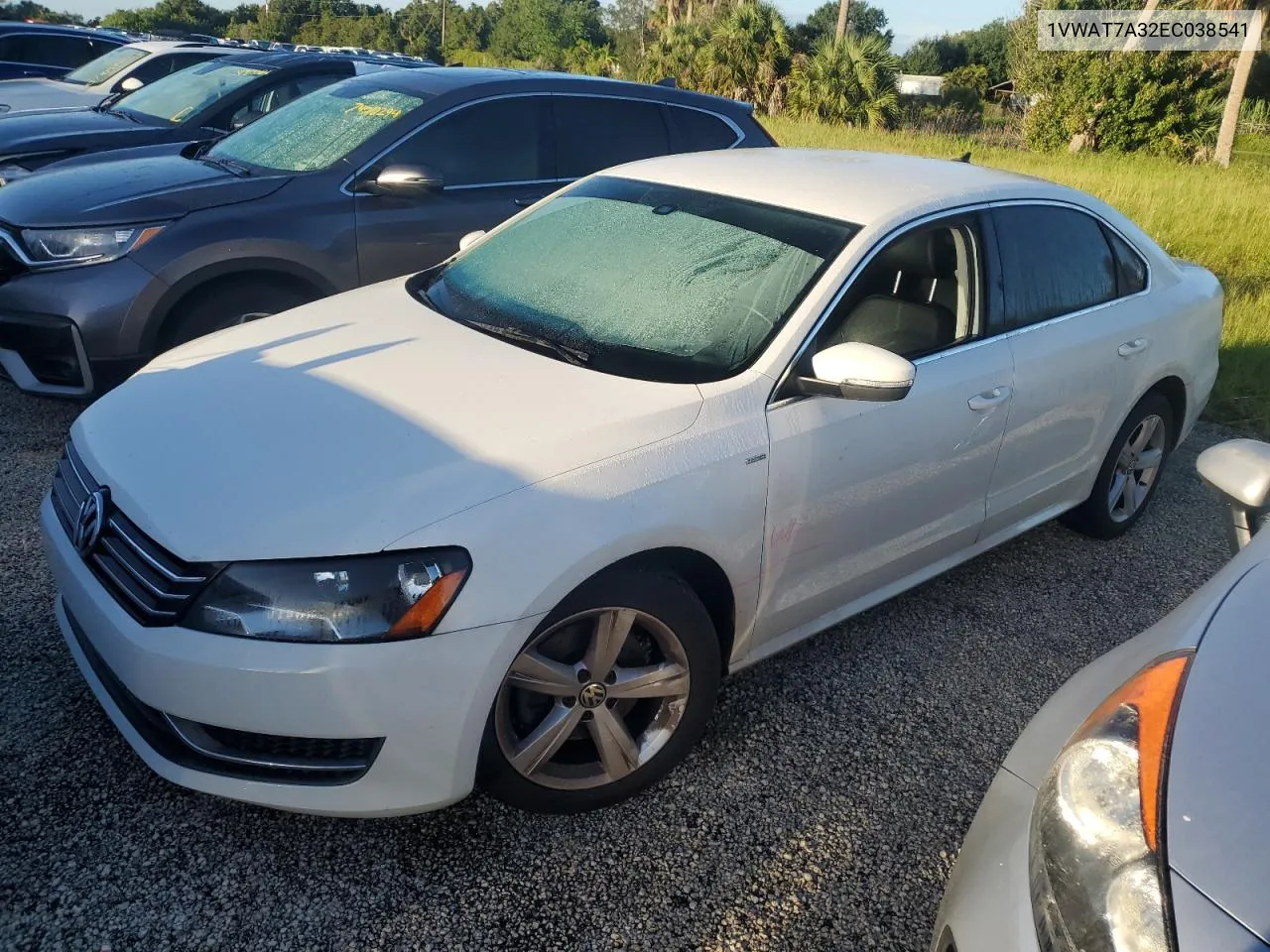 2014 Volkswagen Passat S VIN: 1VWAT7A32EC038541 Lot: 74543254