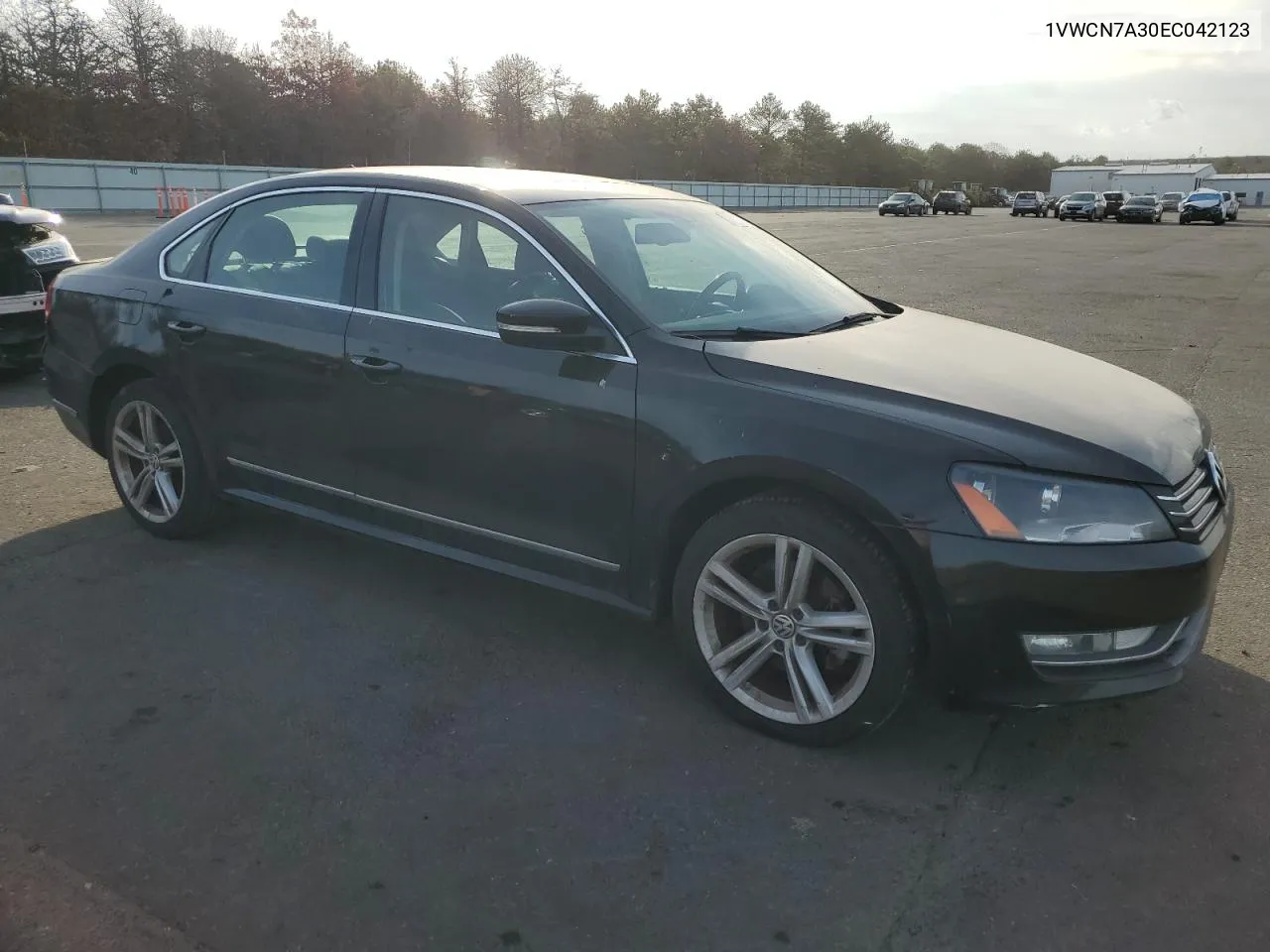 2014 Volkswagen Passat Sel VIN: 1VWCN7A30EC042123 Lot: 79092354