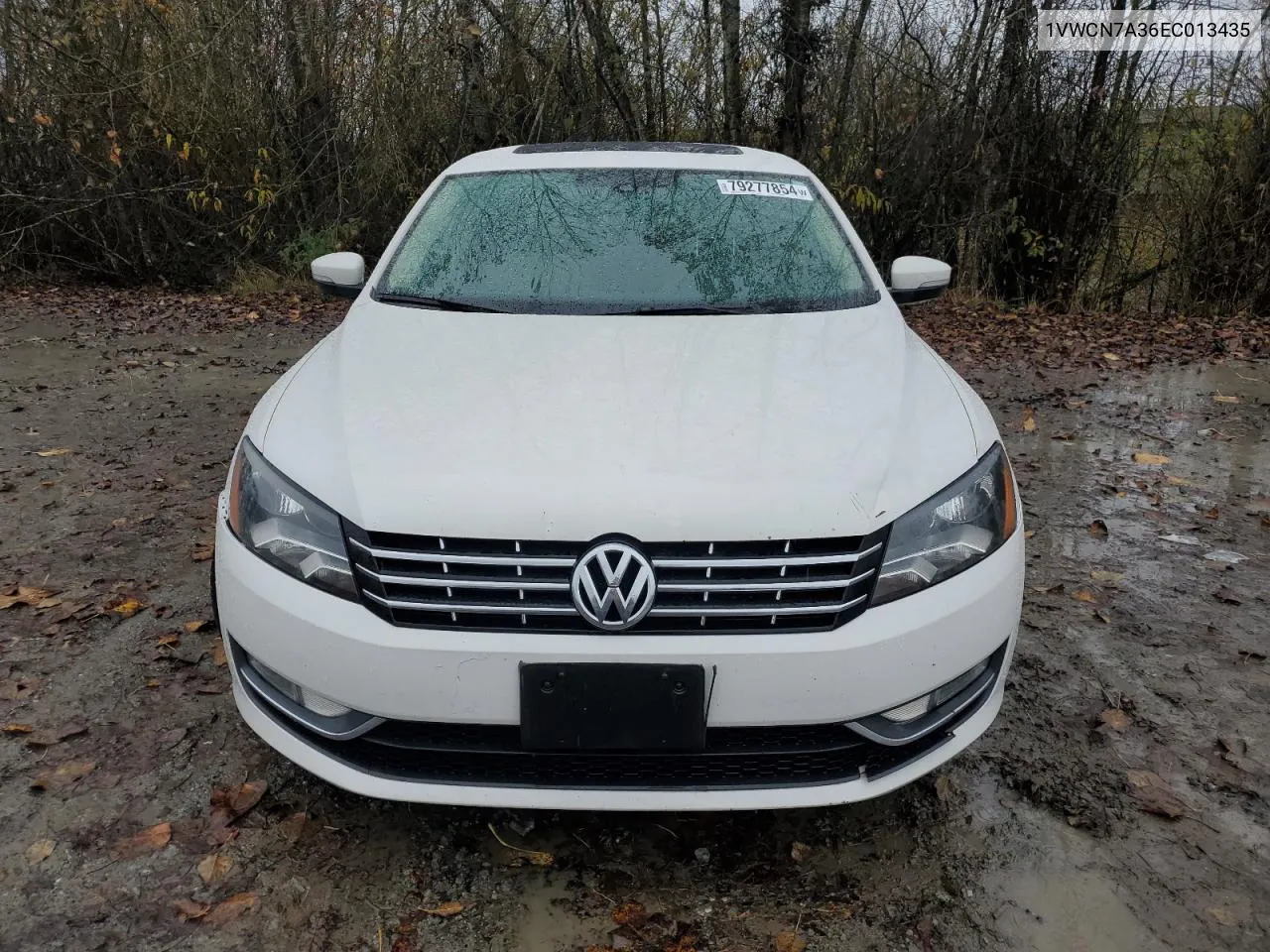 2014 Volkswagen Passat Sel VIN: 1VWCN7A36EC013435 Lot: 79277854