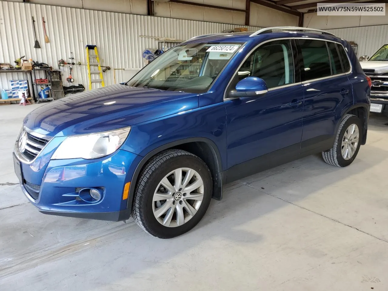 2009 Volkswagen Tiguan S VIN: WVGAV75N59W525502 Lot: 66250124