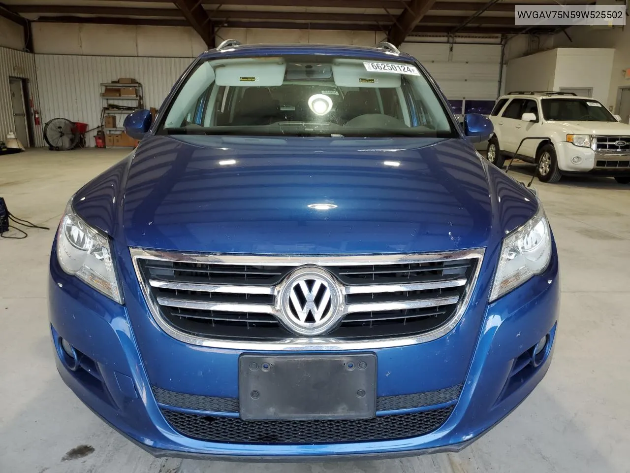 2009 Volkswagen Tiguan S VIN: WVGAV75N59W525502 Lot: 66250124