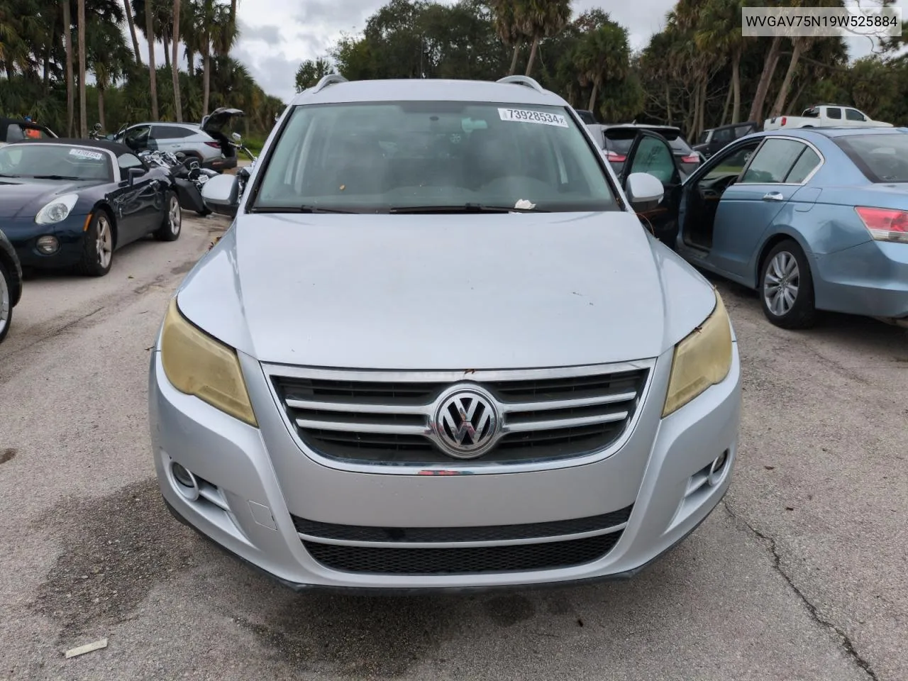 2009 Volkswagen Tiguan S VIN: WVGAV75N19W525884 Lot: 73928534