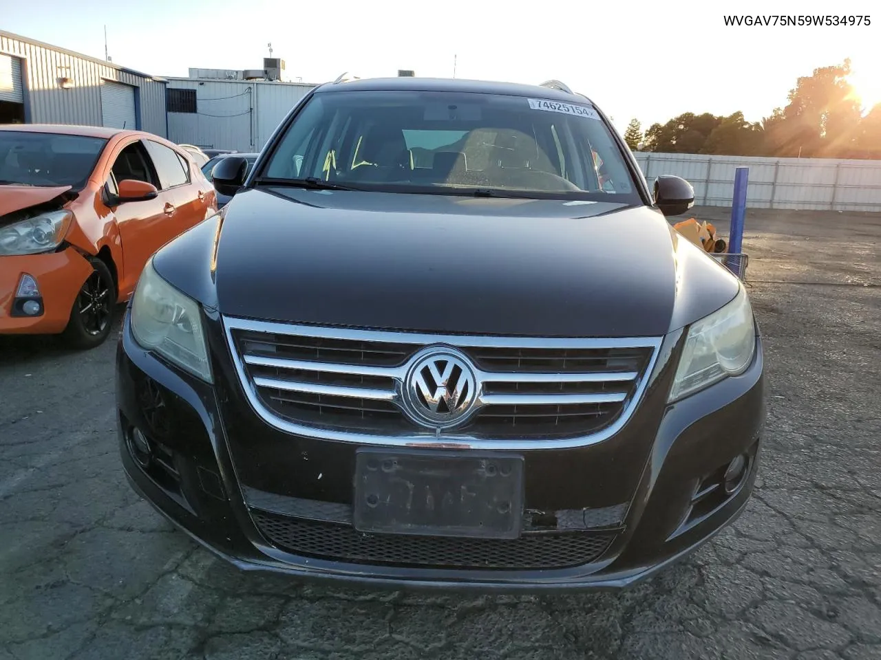 2009 Volkswagen Tiguan S VIN: WVGAV75N59W534975 Lot: 74625154